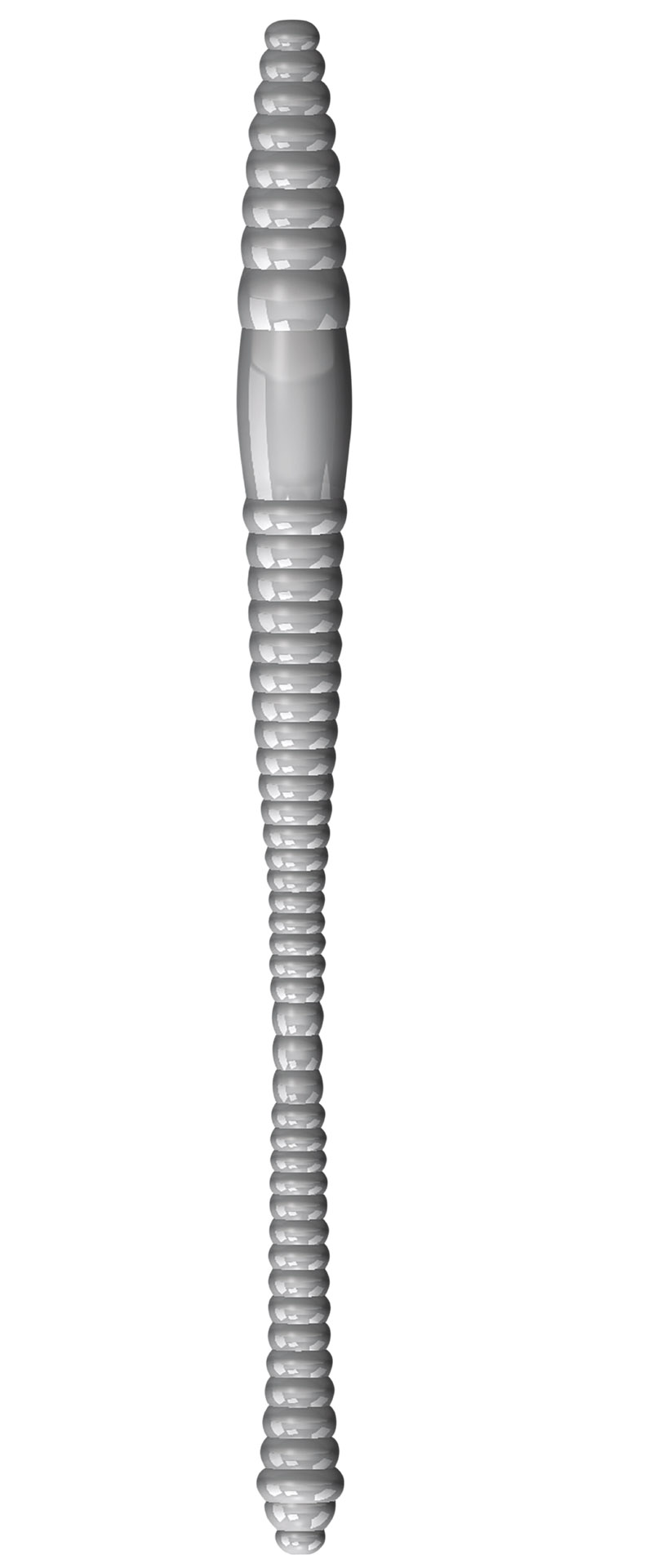 Libra Lures sztuczna przyneta Dying Worm grafika 3D