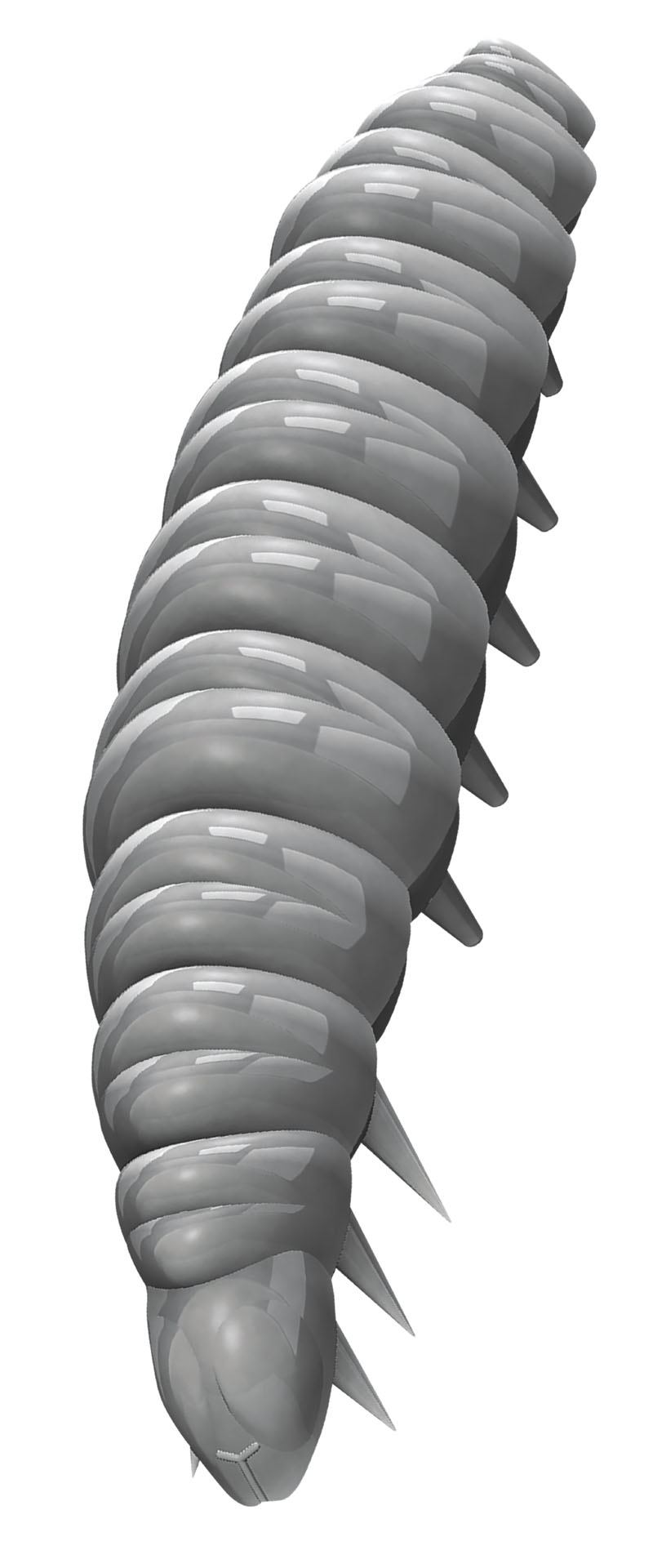 Libra Lures sztuczna przyneta Larva grafika 3D