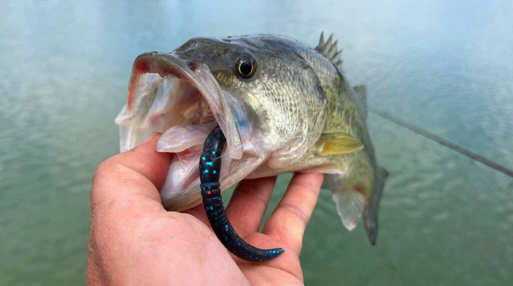 Wabik Libra Lures Bass Crazy Twist Tail Worm w akcji