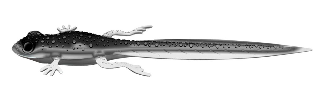 Produkt Libra Lures Vertical Pelagic Series FROG TADPOLE TAIL cel informacyjny