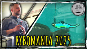 01 Libra lures Poznan rybomania CEL INFORMACYJNY