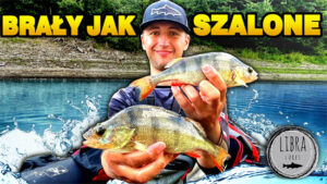 Libra Lures Seria Predator Okon GoPro Cel informacyjny