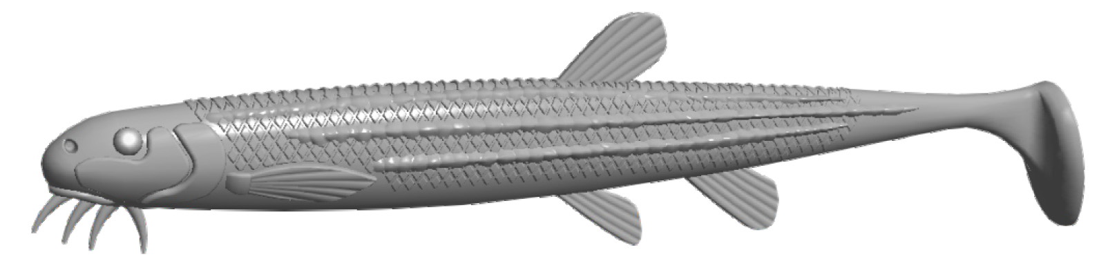 Libra Lures predator series MUSTA SHAD produkt CEL INFORMACYJNY