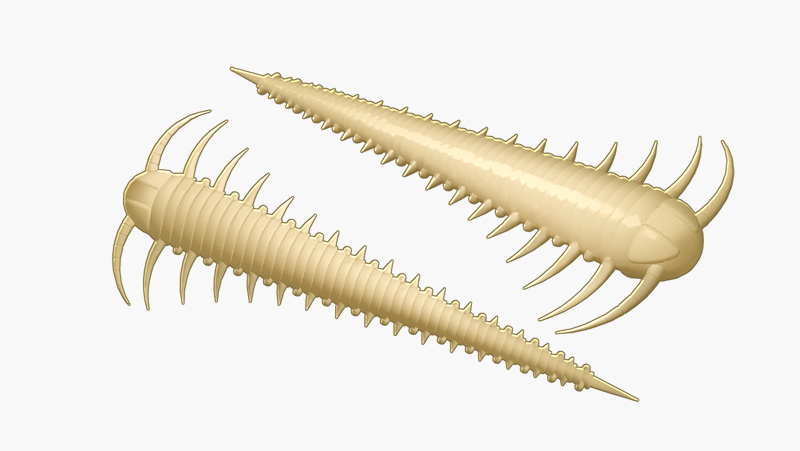 Libra lures trout series slayzur cheese produkt cel informacyjny