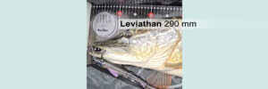 Picture of КОМАНДА LIBRA LURES
