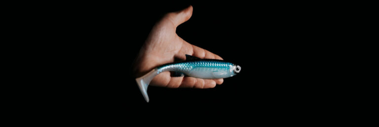 Libra Lures Predator Series Kraken Shad obrazek wyrozniajacy cel informacyjny