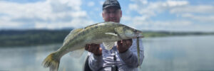 Libra Lures Predator Series Musta Shad obrazek wyrozniajacy cel informacyjny