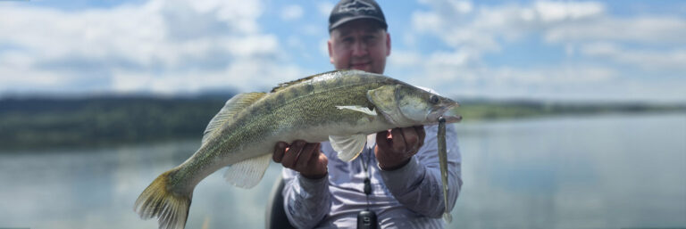 Libra Lures Predator Series Musta Shad obrazek wyrozniajacy cel informacyjny